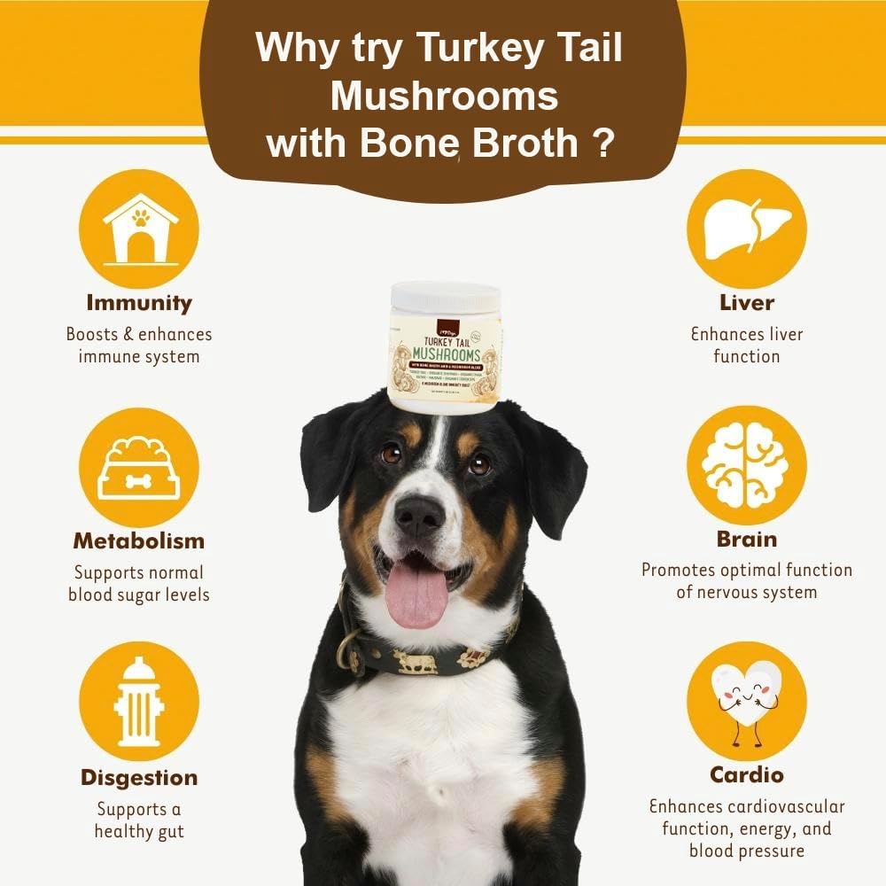 iHeartDogs Turkey Tail Mushroom para Perros - Polvo con Caldo de Huesos y Mezcla de 6 Hongos