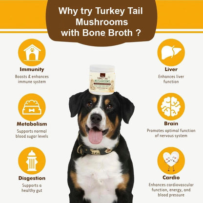 iHeartDogs Turkey Tail Mushroom para Perros - Polvo con Caldo de Huesos y Mezcla de 6 Hongos – Image 6