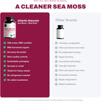 Atlantic Naturals Sea Moss con Remolacha Cápsulas - Suplemento Multivitamínico Premium - 120 cápsulas