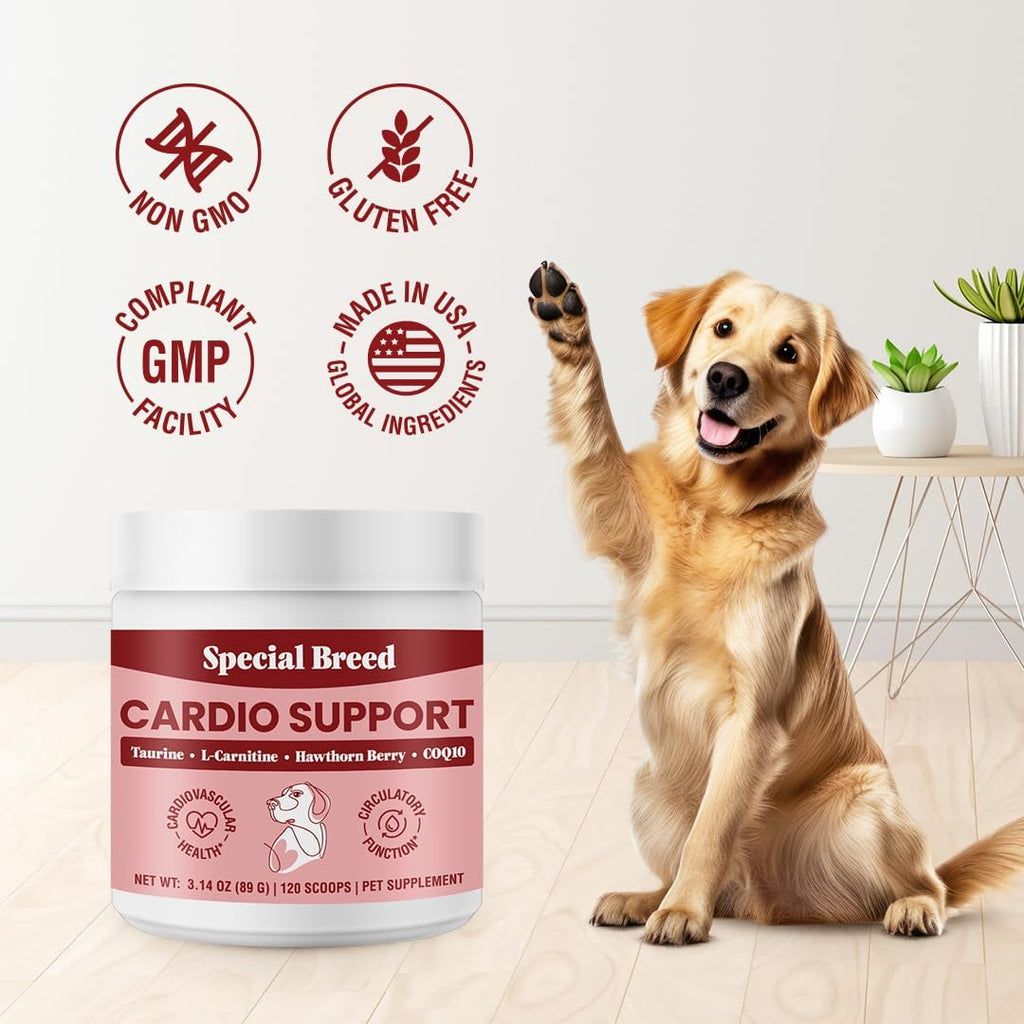 Special Breed Cardio Support – Suplemento cardíaco para perros con taurina, L-carnitina, CoQ10 y espino blanco orgánico – 120 dosis