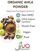 Polvo de Amla Orgánico 567 g - Puro, Libre de Gluten, No GMO, Amalaki de India, Vitamina C - Jiva Organics