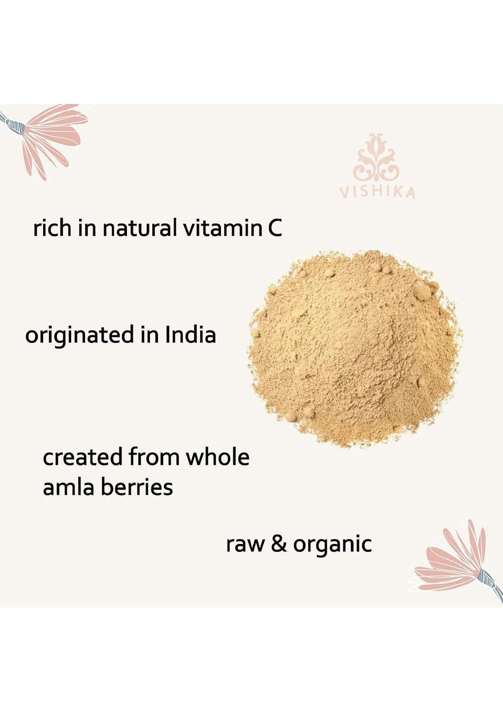 VISHIKA Polvo de Amla Orgánico 100g - Superalimento Ayurvédico con Vitamina C, Vegano y Kosher