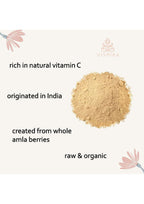 VISHIKA Polvo de Amla Orgánico 100g - Superalimento Ayurvédico con Vitamina C, Vegano y Kosher