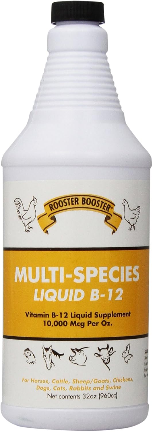 Rooster Booster B-12 Líquido, 946 ml