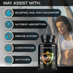 Leviathan Nutrition GI | Salud Intestinal y Microbioma | 120 Cápsulas