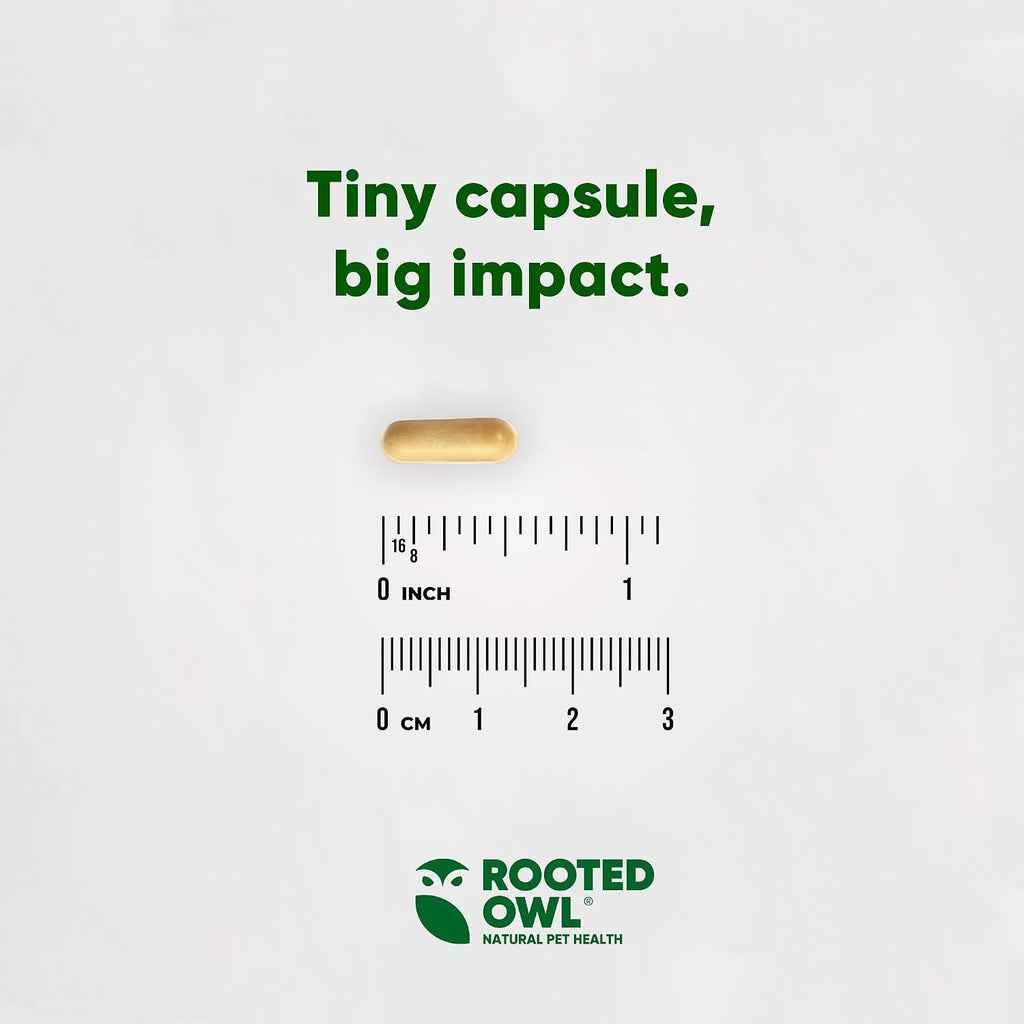 Rooted Owl® Suplemento Hepático para Perros - Cardo Mariano - 60 Cápsulas Veganas