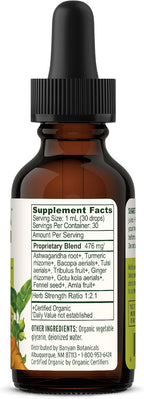 Banyan Botanicals I Travel Well Liquid Extract - Travel Immune Support - with Ashwagandha and Ginger - 30 ml (1 fl. oz.) - Organic, Vegan