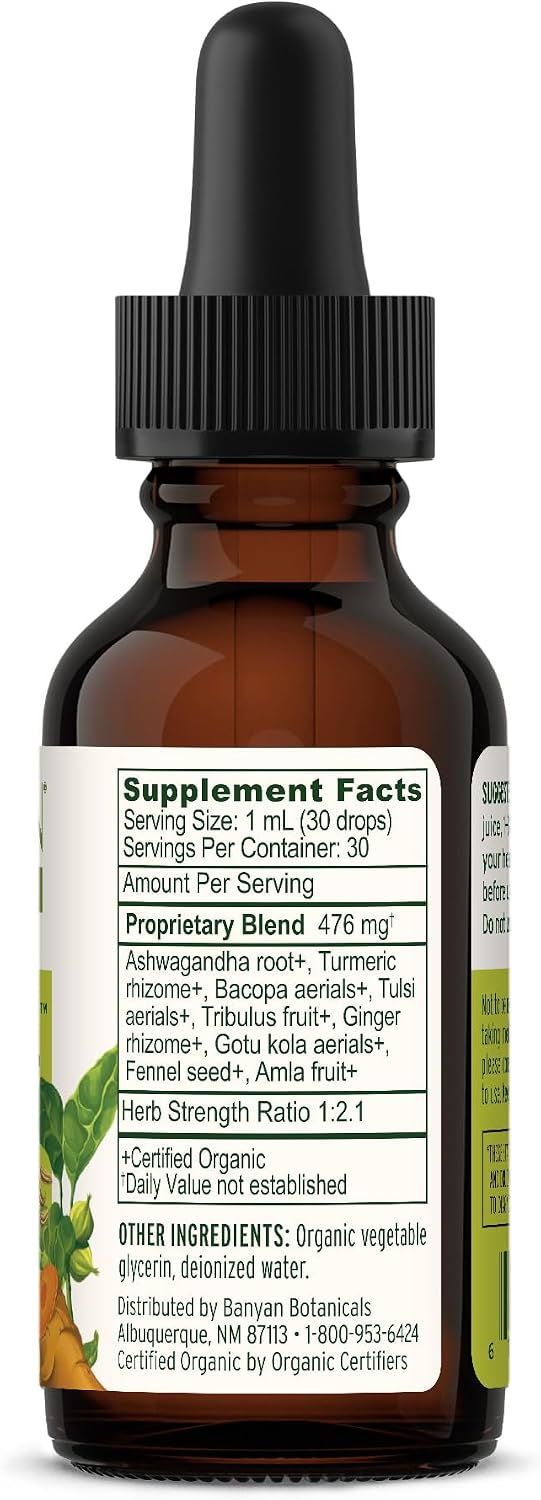 Banyan Botanicals I Travel Well Liquid Extract - Travel Immune Support - with Ashwagandha and Ginger - 30 ml (1 fl. oz.) - Organic, Vegan