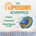LABO Nutrition Liposomal Vitamin D3 - 1000 IU Vegano, 240 Cápsulas