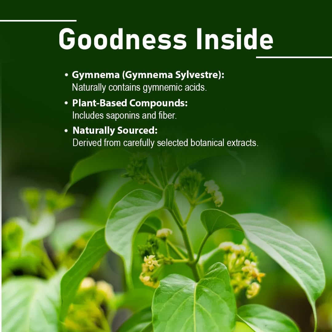 Gymnema Tablets – 90 Comprimidos, 1000 mg | Gurmar | Gymnema Sylvestre | Vegano