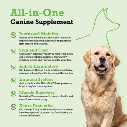 Aceite de Camelina 100% Puro para Perros - – Articulaciones y movilidad: Los omega 3 y 6 pueden apoyar la – Image 2