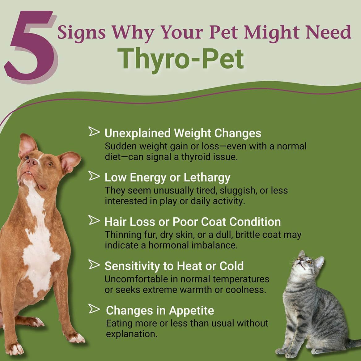PetAlive Thyro-Pet – Gotas Líquidas de Apoyo Tiroideo para Perros y Gatos