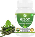 Morsan's Giloy (Tinospora Cordifolia) Cápsulas - 60 cápsulas de 500 mg