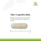 Terry Naturally Clinical Essentials - Complejo Multivitamínico y Mineral con Quelatos - 120 Cápsulas