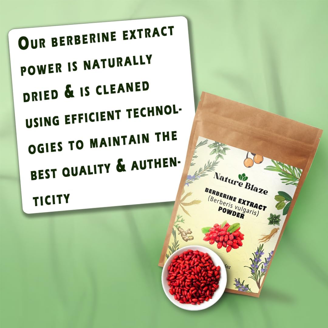 Ayurvedic Berberine Natural - Polvo de Extracto de Raíz de Agracejo, 400 g