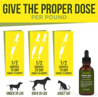 Probióticos para Perros y Gatos - 120 Servicios - Líquido Natural con Enzimas Digestivas