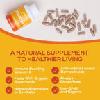 Paleovalley Essential C Complex - Vitamina C 450mg con Acerola, Camu Camu y Amla - Sin Sintéticos
