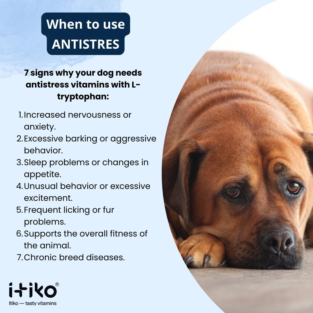 ITIKO Vitaminas para Perros | Suplemento Calmante Sabroso | Tranquilizante para Perros | Apoya el Sistema Nervioso, Reduce Ladridos, L-Triptófano