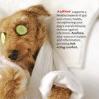 Healthy Pet Azoflora Suplemento Renal para Perros, 90 Snacks Blandos Sabor Pollo