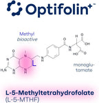 Priority Folate 30 Cápsulas - Suplemento de Folato con Optifolin+ 5MTHF