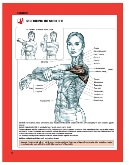 Anatomía del entrenamiento de fuerza, 3ª Edición – Image 2