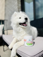 Four Paws Healthy Promise Suplementos para Perros - Piel y Pelaje - Snacks Blandos 90 uds.