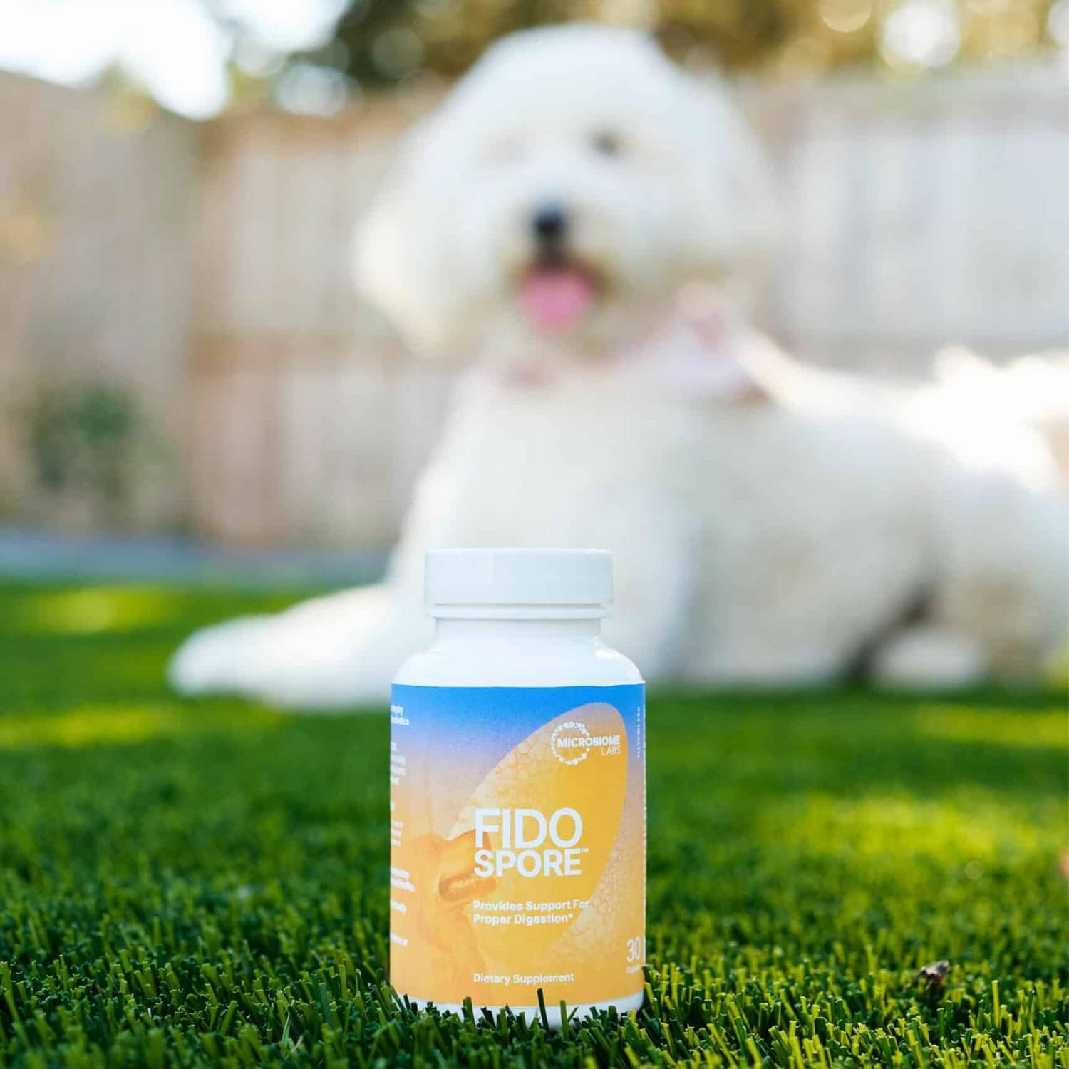 Fidospore Probióticos para Perros - Salud Digestiva e Inmunidad - 30 Cápsulas