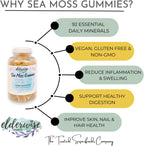 Elderwise Organics Made With Love Sea Moss Gummies | Only 3 Ingredients | Vegan | Premium Ingredients | Gluten Free | Sea Moss Gummy