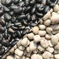 QURA Hardia Kaunch Beej Black kaunch Beej 100 gm White Kaunch Beej 100 gm Combo Pack 200 gram