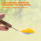 SumDIP Gel de Musgo de Mar Irlandés 18.5 oz - Sabor Piña
