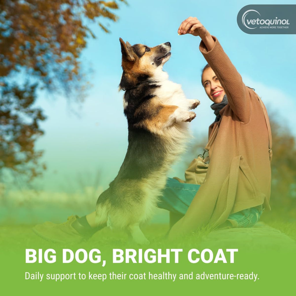 Vetoquinol Triglyceride Omega - Aceite de Pescado para Perros y Gatos - 60 Cápsulas