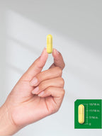 Horbäach Berberine HCl 500 mg | 120 Cápsulas Vegetarianas | Suplemento de Extracto de Agracejo