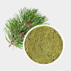 ONDAMGO Polvo Natural de Agujas de Pino 200g - 100% Hoja de Pino en Polvo