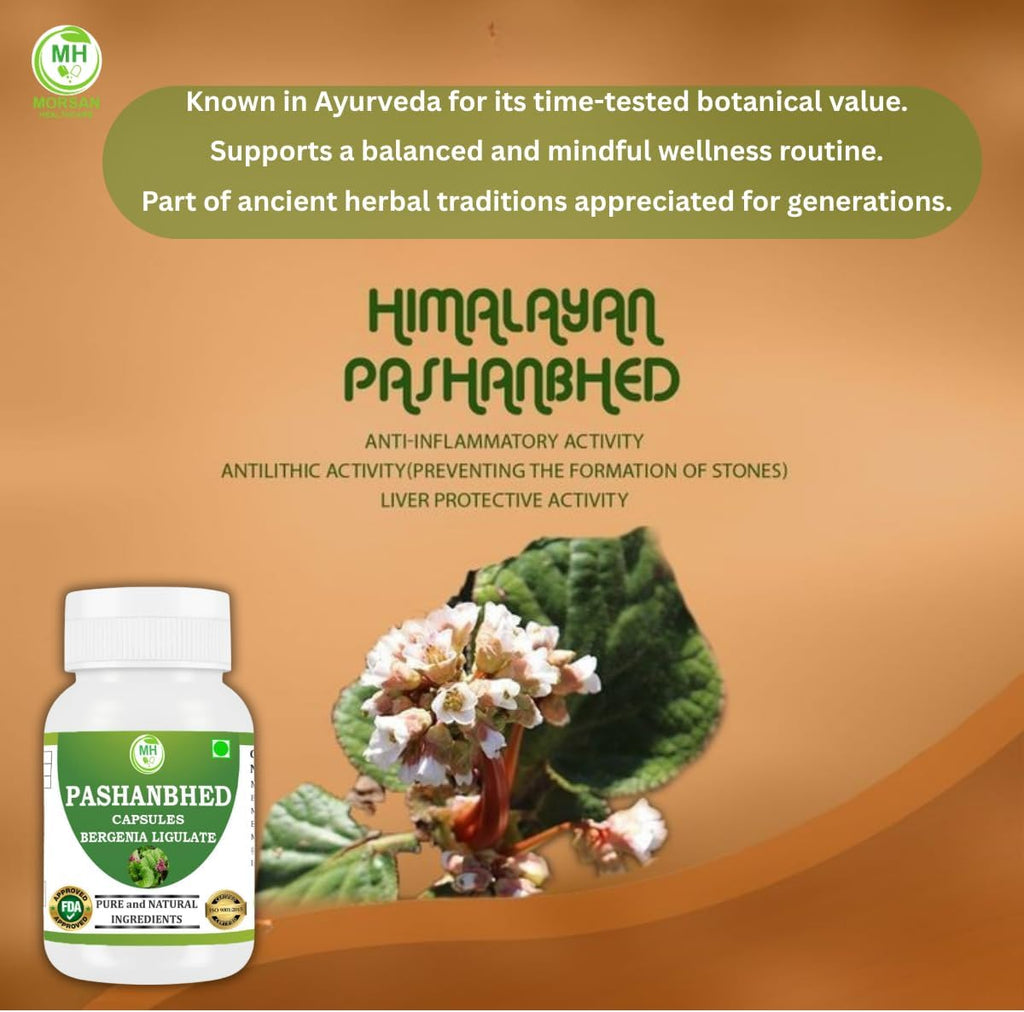 Pashanabheda (Bergenia ligulata) en Cápsulas - Suplemento Ayurvédico 100% Puro, 500 mg, 240 Cápsulas Vegetales