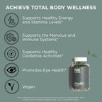 Pure for Men Multivitamin | Multivitamínico para Hombres