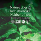 New Chapter Perfect Calm - Multivitamínico Diario para el Estrés y el Ánimo con Vitaminas B + Albahaca Santa + Melisa + Ingredientes Orgánicos - 144 Comprimidos