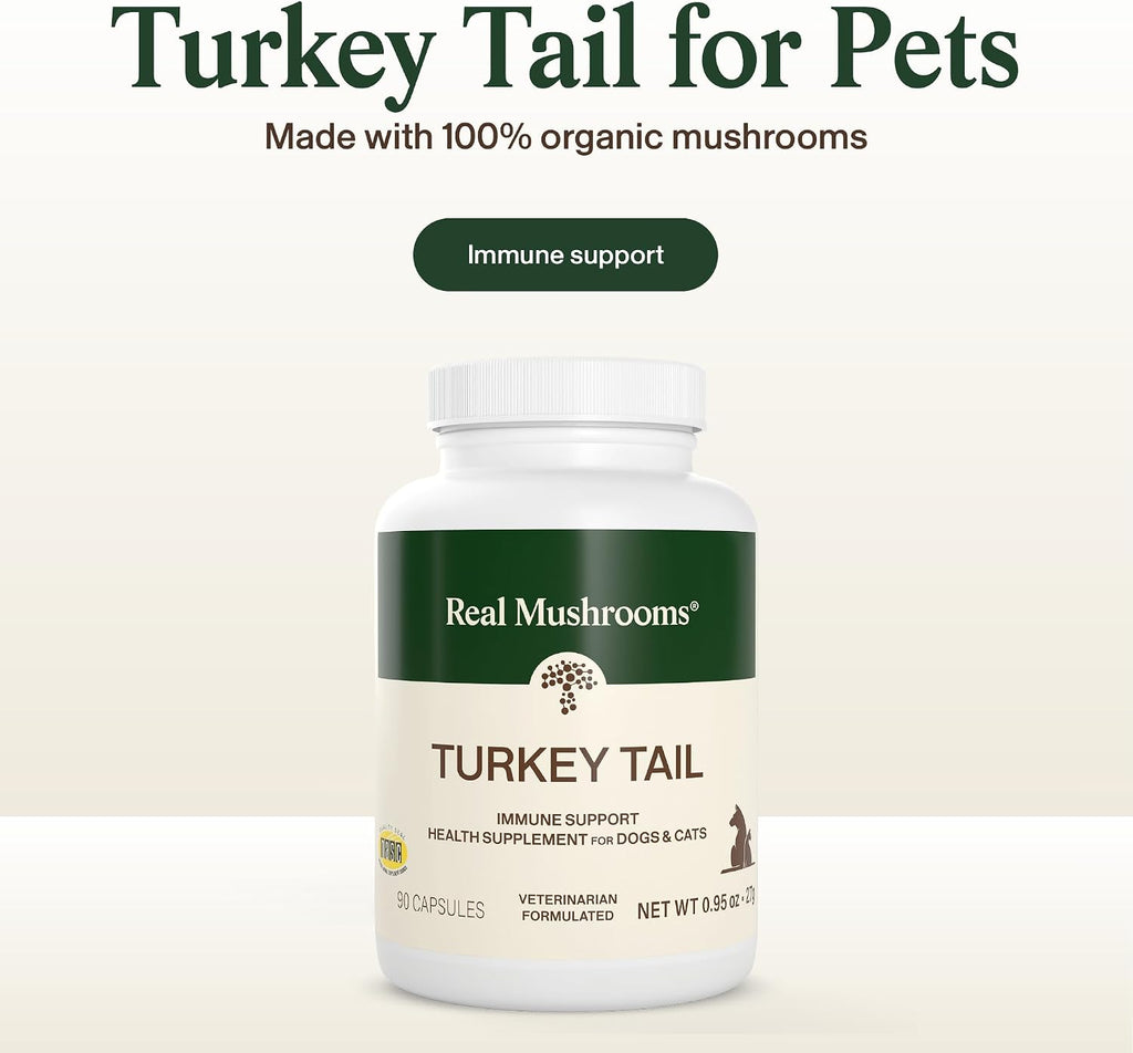 Real Mushrooms Turkey Tail para Mascotas – Suplemento Orgánico para Perros y Gatos – 90 Cápsulas
