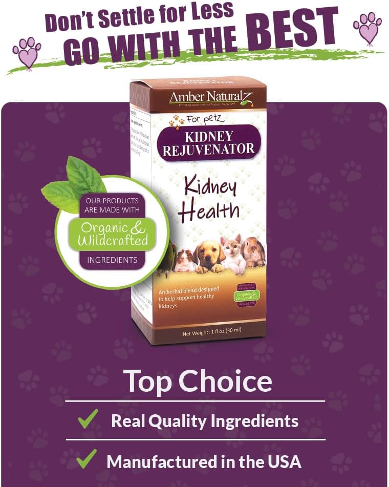 Amber NaturalZ Kidney Rejuvenator - Suplemento Herbal para la Función Renal de Mascotas (30 ml)