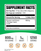 BulkSupplements Extracto de Hoja de Llantén en Polvo – 800 mg por Ración, 1 kg