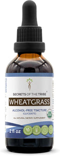 Secrets of the Tribe Wheatgrass USDA Organic - Extracto Sin Alcohol, Gotas Herbales de Alta Potencia - 100% Wheatgrass Orgánico Certificado (Triticum aestivum) Hoja Seca 60 ml
