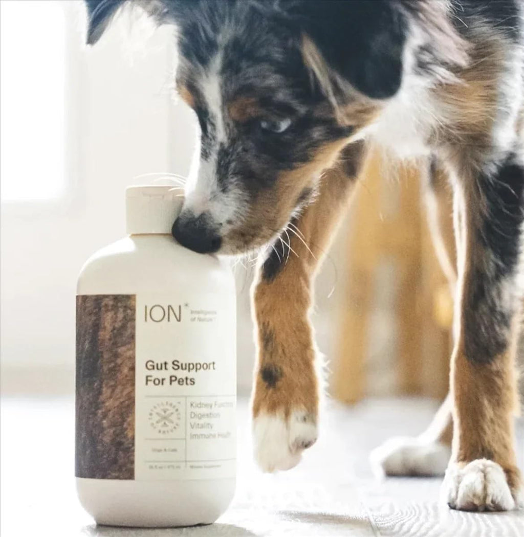 ION* Gut Support For Pets - Suplemento Líquido para la Salud Intestinal de Perros y Gatos - 473 ml