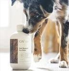 ION* Gut Support For Pets - Suplemento Líquido para la Salud Intestinal de Perros y Gatos - 473 ml