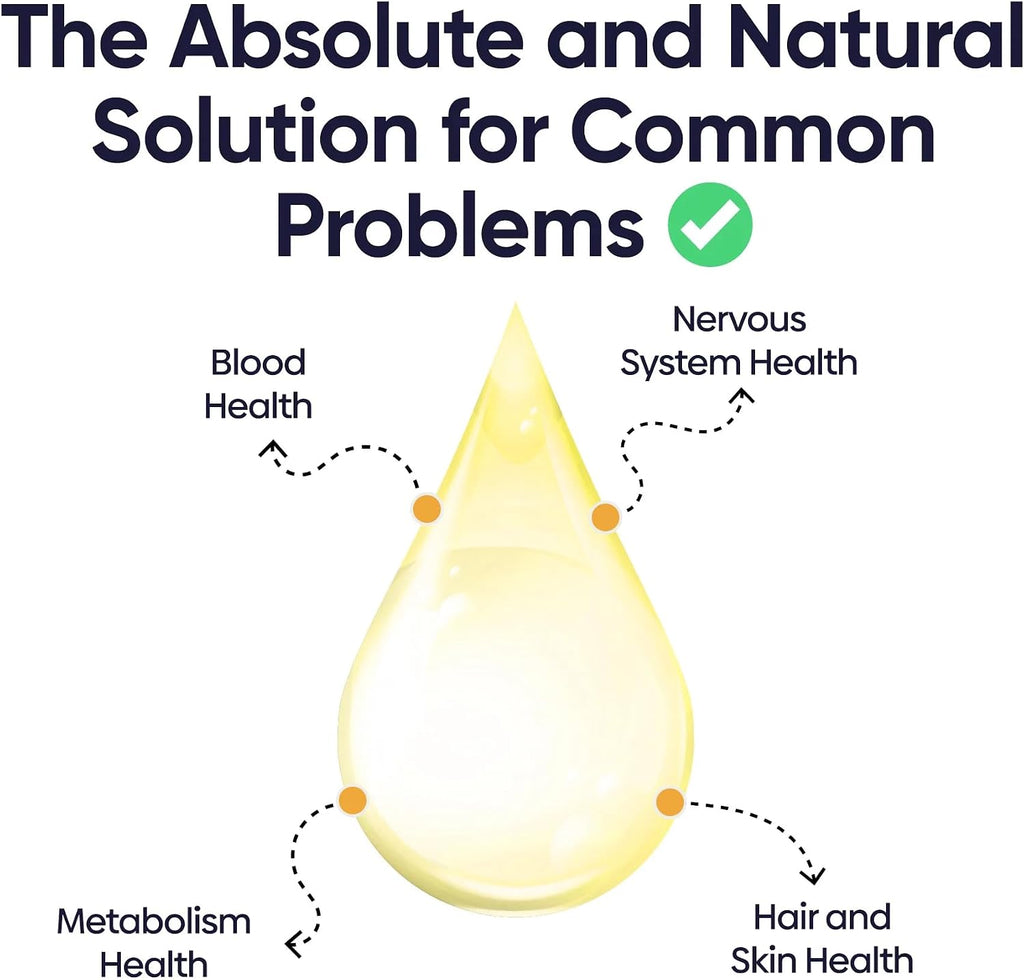 Complejo Vitamínico B para Perros, Apoya el Metabolismo y Aumenta los Niveles de Energía, 50 ml (Pack de 6)