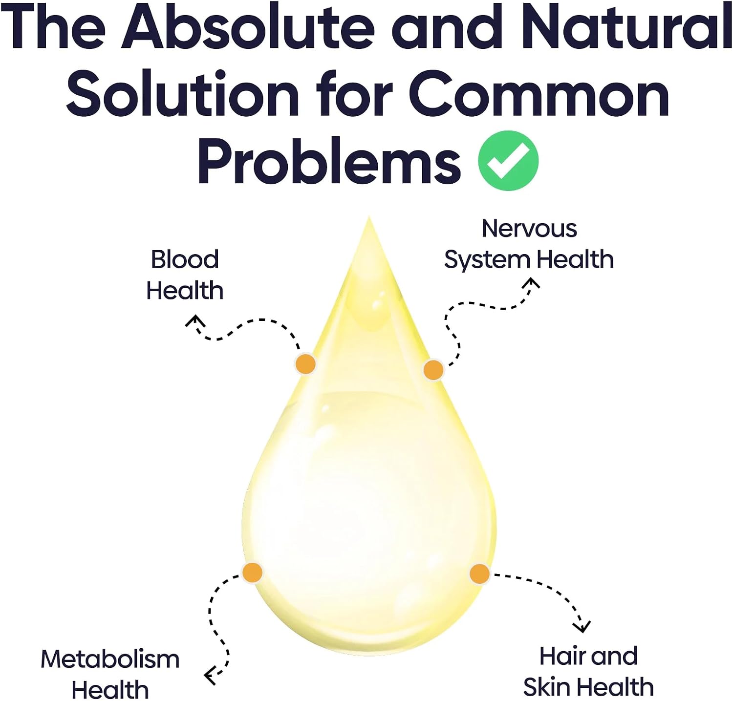 Complejo Vitamínico B para Perros, Apoya el Metabolismo y Aumenta los Niveles de Energía, 50 ml (Pack de 6)