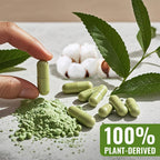 ATNreuro Cápsulas Veganas Vacías Tamaño 1 - 500 Unidades con 2 Micro Cucharas