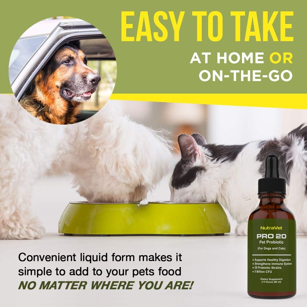 Probióticos para Perros y Gatos - 120 Servicios - Líquido Natural con Enzimas Digestivas