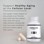 aeternum Premium Quality Fisetin 500mg 60 Cápsulas