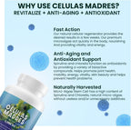 4 Células Madres AFA Stem Natural Cell - 60 Cápsulas - 1.000 mg - Alga Verde Azul - Sin OMG - Sin Gluten