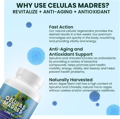 4 Células Madres AFA Stem Natural Cell - 60 Cápsulas - 1.000 mg - Alga Verde Azul - Sin OMG - Sin Gluten