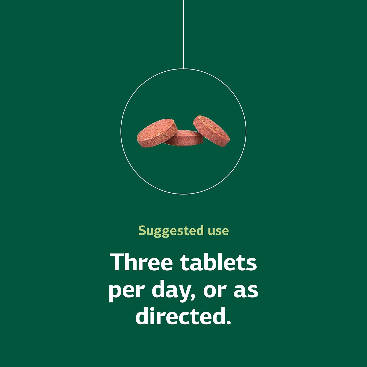 Standard Process Catalyn Chewable - Suplemento de Alimentos Integrales para la Función Celular - 90 Comprimidos